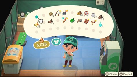 animal crossing new horizons pocket organization.